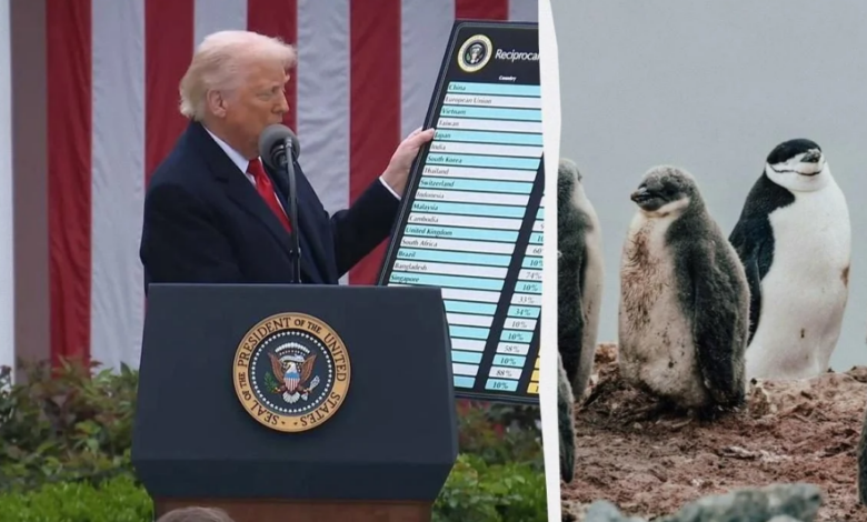 ترامب يفرض رسومًا على جزر غير مأهولة.. هل هي ضربة لأستراليا أم مجرد خطأ سياسي؟