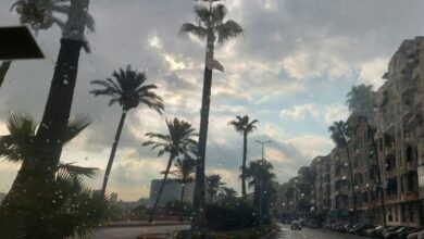 الأرصاد: غدا طقس مائل للدفء شديد البرودة ليلا.. والصغرى بالقاهرة 12