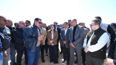 الإسكان: تقسيم منطقة الرابية في الشروق إلى 24 مجاورة سكنية