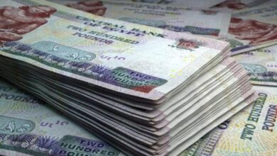 البنك المركزي: 14.08 تريليون جنيه حجم السيولة المحلية بالقطاع المصرفي بنهاية يناير 2026