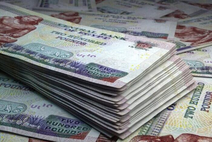 البنك المركزي: 14.08 تريليون جنيه حجم السيولة المحلية بالقطاع المصرفي بنهاية يناير 2026