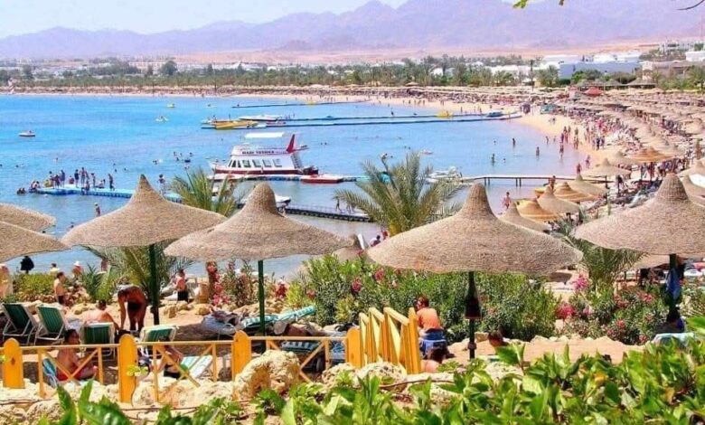 رئيس شعبة السياحة بجنوب سيناء: الروس يمثلون 70% من حجم السياحة الوافدة للبحر الأحمر رئيس شعبة السياحة بجنوب سيناء: الروس يمثلون 70% من حجم السياحة الوافدة للبحر الأحمر