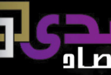 صدي الاقتصاد