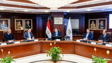 محافظ البنك المركزي المصري يلتقي وزير التعليم العالي والبحث العلمي لبحث التعاون المشترك