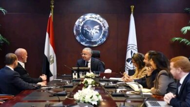 الهيئة العامة للاستثمار وبنك HSBC يبحثان خطط الترويج الخارجي للاستثمار في مصر