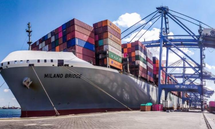 تداول بضائع وحاويات 25 سفينة في ميناء دمياط خلال 24 ساعة