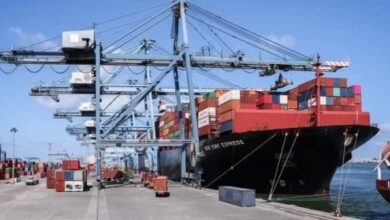 ميناء دمياط يشهد وصول سفينتين عملاقتين للحاويات