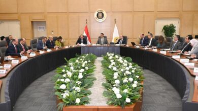 وزراء الصناعة والاستثمار والمالية يبحثون آليات جديدة لتعميق وتوطين صناعة السيارات