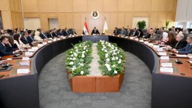 وزير الصناعة يجتمع مع ممثلي شركة دي كود للاستشارات لبحث مستجدات استراتيجية الصناعة