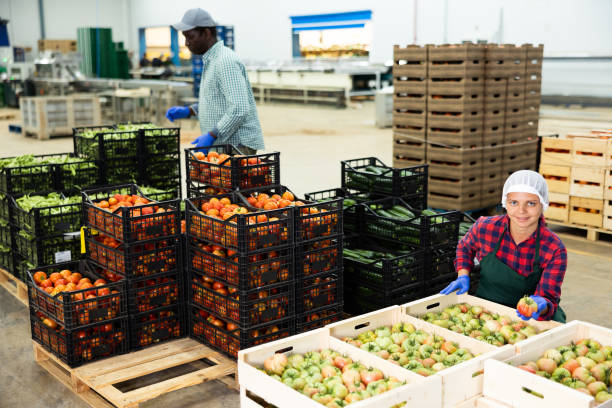 1446 شركة تحصل على 2782 إذن تصدير لحاصلات زراعية خلال الأسبوع الماضي