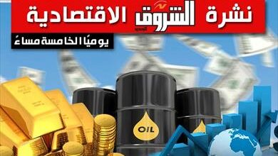 20 أبريل 2026.. نشرة الشروق الاقتصادية: الدولار يعاود الارتفاع لأعلى من 52 جنيها مجددا.. والبورصة تهبط بأكثر من 1%