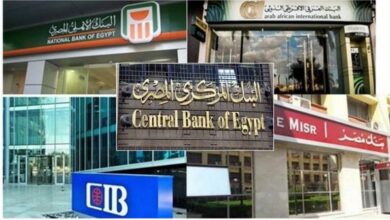 البنوك المصرية تحقق أرباحًا قوية خلال 2025.. «الأهلي المصري» يتصدر و«التجاري الدولي» في المركز الثاني