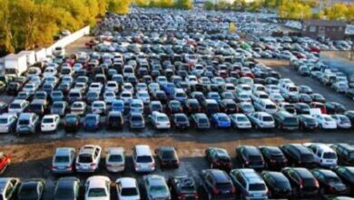 الجمارك: أكثر من 28 مليون جنيه حصيلة بيع بضائع وسيارات جمارك القاهرة والسويس والسخنة في مزاد علني