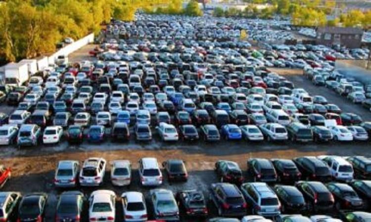 الجمارك: أكثر من 28 مليون جنيه حصيلة بيع بضائع وسيارات جمارك القاهرة والسويس والسخنة في مزاد علني