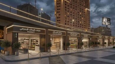 «الشروق» تنشر نماذج تطوير موقف عبد المنعم رياض قبل التنفيذ