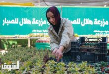 دليلك لتجربة ممتعة وشراء النباتات عند زيارة معرض زهور الربيع للمرة الأولى