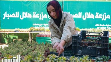 دليلك لتجربة ممتعة وشراء النباتات عند زيارة معرض زهور الربيع للمرة الأولى