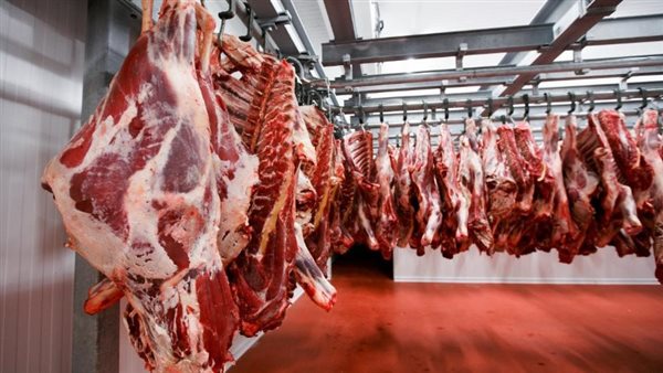 رئيس قطاع الثروة الحيوانية: حققنا زيادة 8% في إنتاج اللحوم والألبان هذا العام