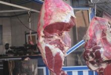 شعبة القصابين: سوق اللحوم مستقر.. ولا زيادات قبل عيد الأضحى لتوفر كميات كبيرة من المعروض