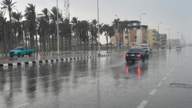 طقس اليوم.. الأرصاد: أمطار رعدية ببعض المناطق.. ونشاط رياح مثير للأتربة