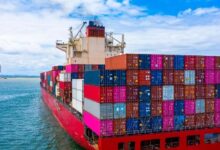 لدعم الصادرات إلى الاتحاد الأوروبي.. تصديري الصناعات الغذائية يعدد متطلبات التحول الأخضر داخل القطاع