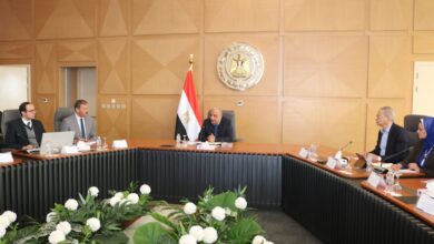 متحدث الكهرباء: وفرنا 18 ألف ميجاوات من الطاقة.. والـ 1000 ميجا بـ 800 ألف دولار