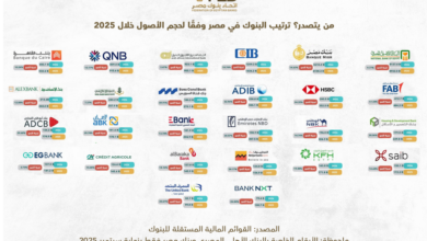 من يتصدر ؟ ترتيب البنوك في مصر وفقاً لحجم الأصول خلال 2025