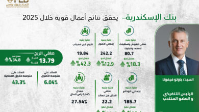نتائج أعمال بنك الإسكندرية خلال عام 2025