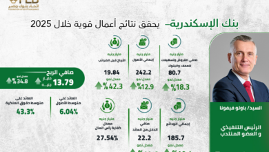 نتائج أعمال بنك الإسكندرية خلال عام 2025