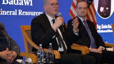 وزير البترول: نسعى لتقليل الاعتماد على الغاز بالطاقة المتجددة