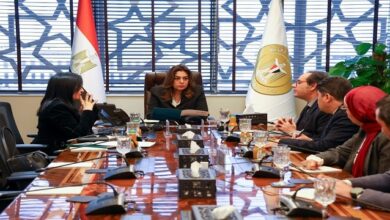 وزيرة التنمية المحلية والبيئة تبحث مع اتحاد بنوك مصر إطلاق تحالف “تمويل الاستدامة” وبرنامج NEXT GEN