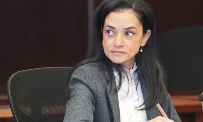 ارتفاع تاريخي لحجم صناديق الاستثمار في مصر.. مستشار رئيس هيئة الرقابة المالية توضح التفاصيل