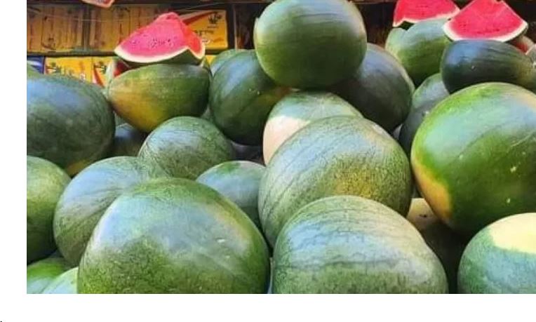 شعبة الخضروات والفاكهة: انخفاض سعر البطيخة إلى 150 جنيها.. والأسعار ستتراجع أكثر خلال أسابيع